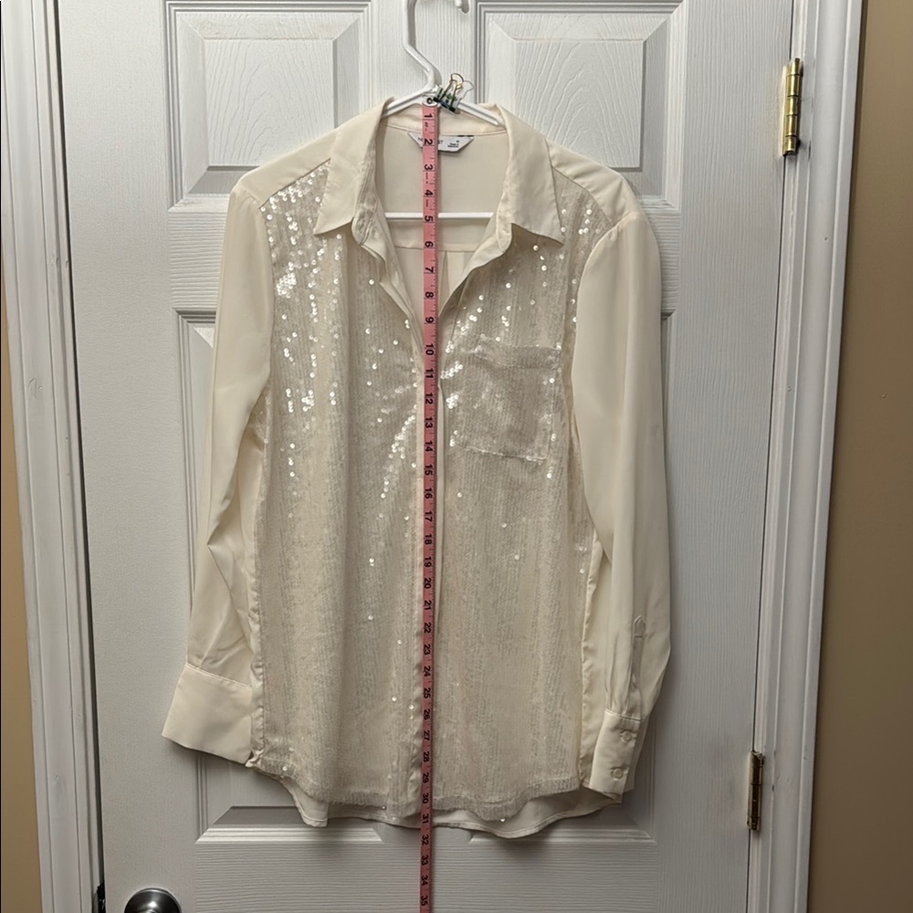 Sequin Sheer Blouse